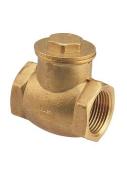 Upper feedwater special check valve